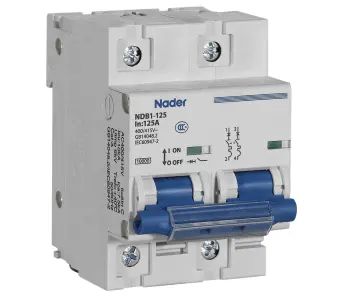 NDB1C-125C80/2P